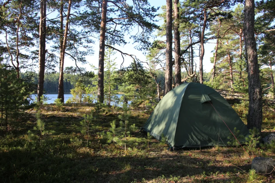 Camping Ostsee mit Hund – Die besten Campingplätze für euren Urlaub!
