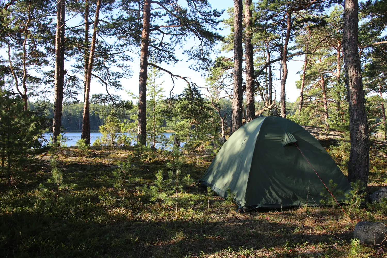 Camping Ostsee mit Hund – Die besten Campingplätze für euren Urlaub!