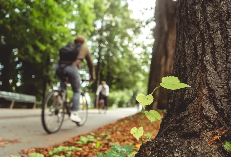 Entdecken Sie den Radweg NOK-Route: Hauptschlagader einer Urlaubsregion