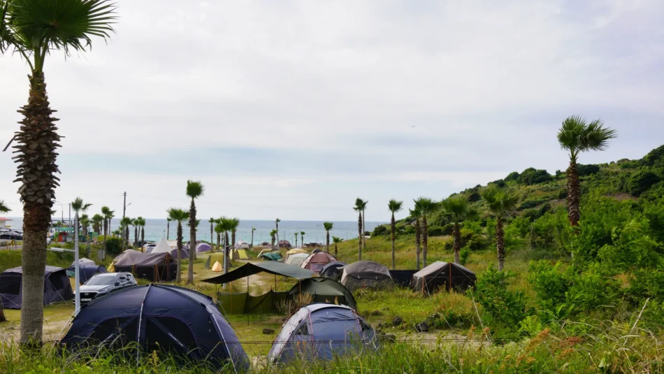 Ostsee Wohnmobilstellplätze: Die besten Campingplätze am Meer finden