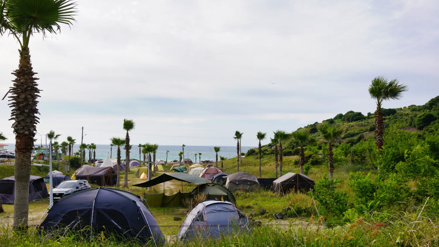 Ostsee Wohnmobilstellplätze: Die besten Campingplätze am Meer finden