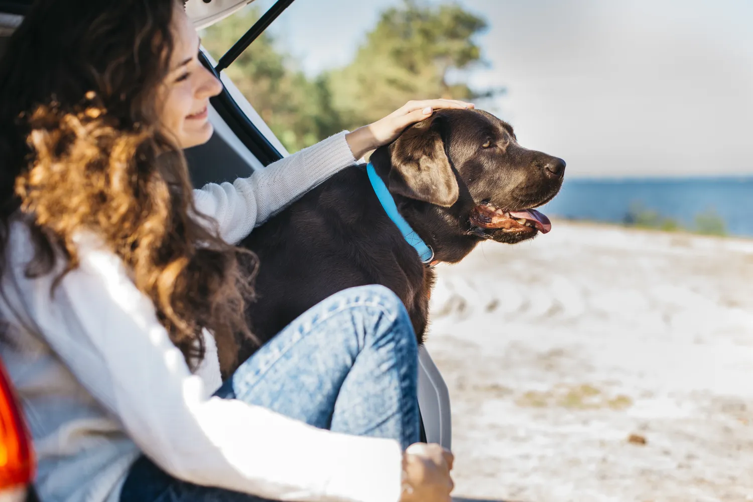 Urlaub mit Hund: Ferienwohnungen & Ferienhäuser an der Ostsee buchen